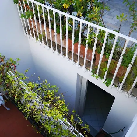 Guest house Muta House