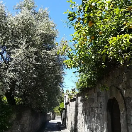 Guest house Muta House 3*