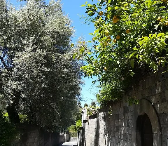 Pensionat Muta House 3*