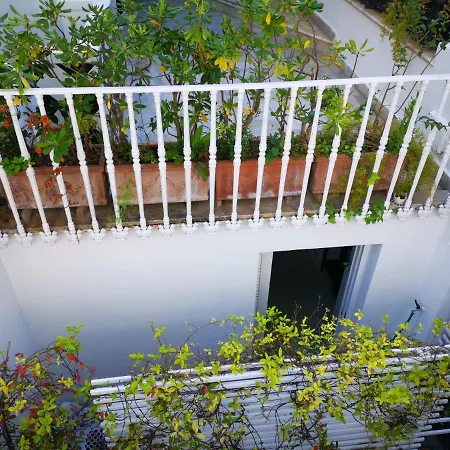 Muta House
