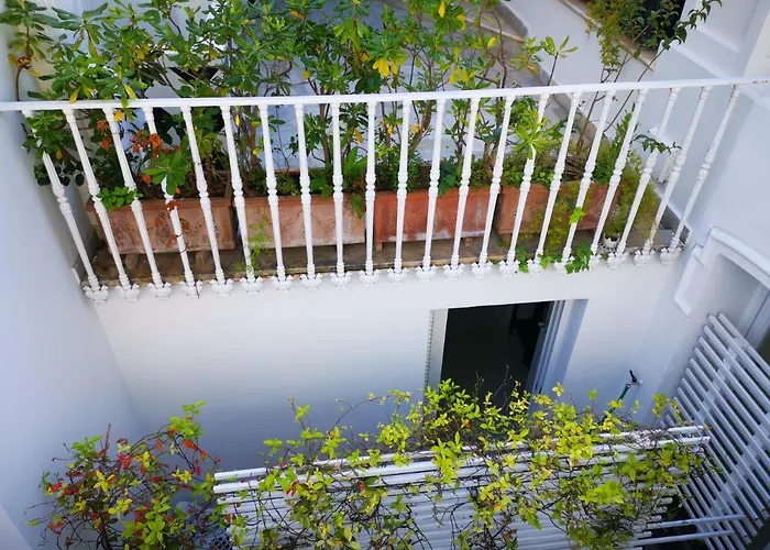 Muta House